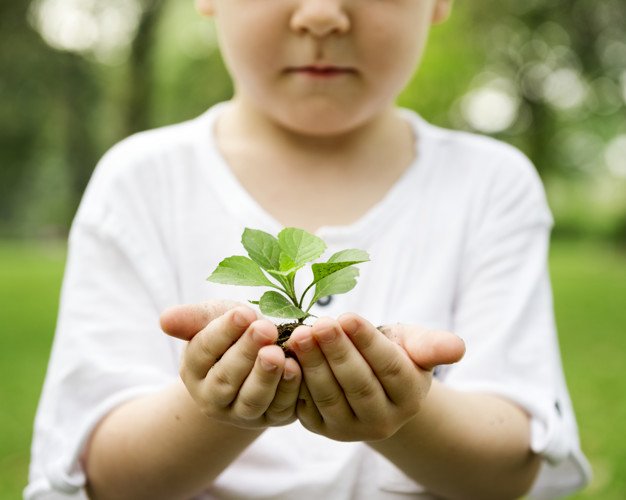 Child holding a little plant